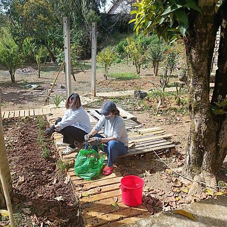 The Burrow Dalat Apartment Luaran gambar