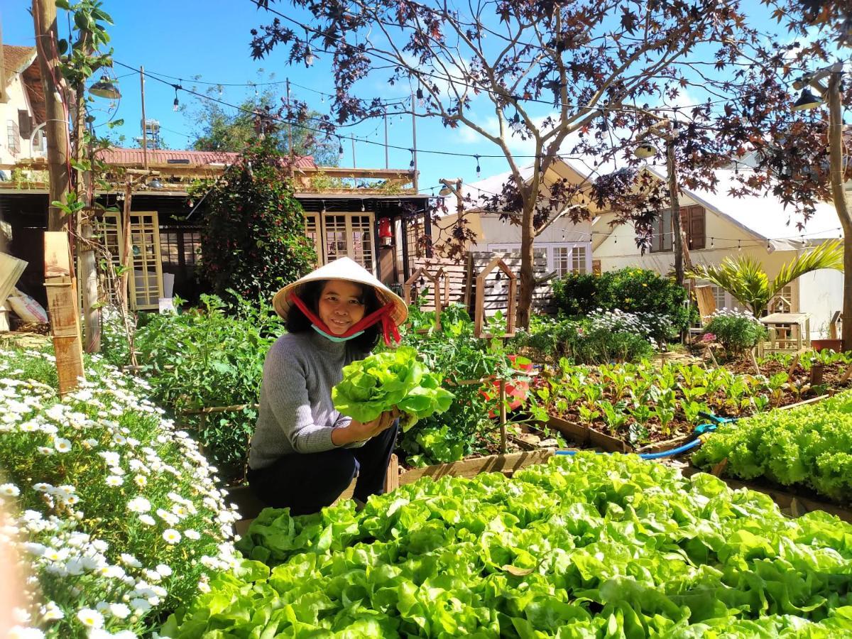 The Burrow Dalat Apartment Luaran gambar