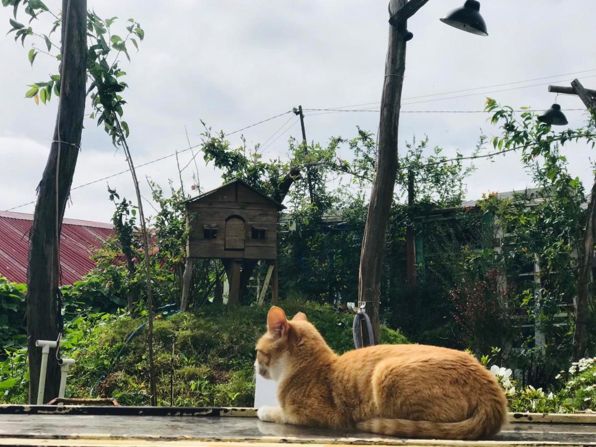 The Burrow Dalat Apartment Luaran gambar