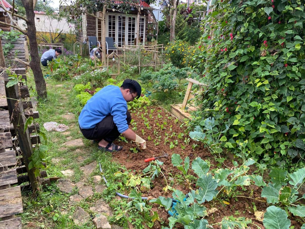 The Burrow Dalat Apartment Luaran gambar