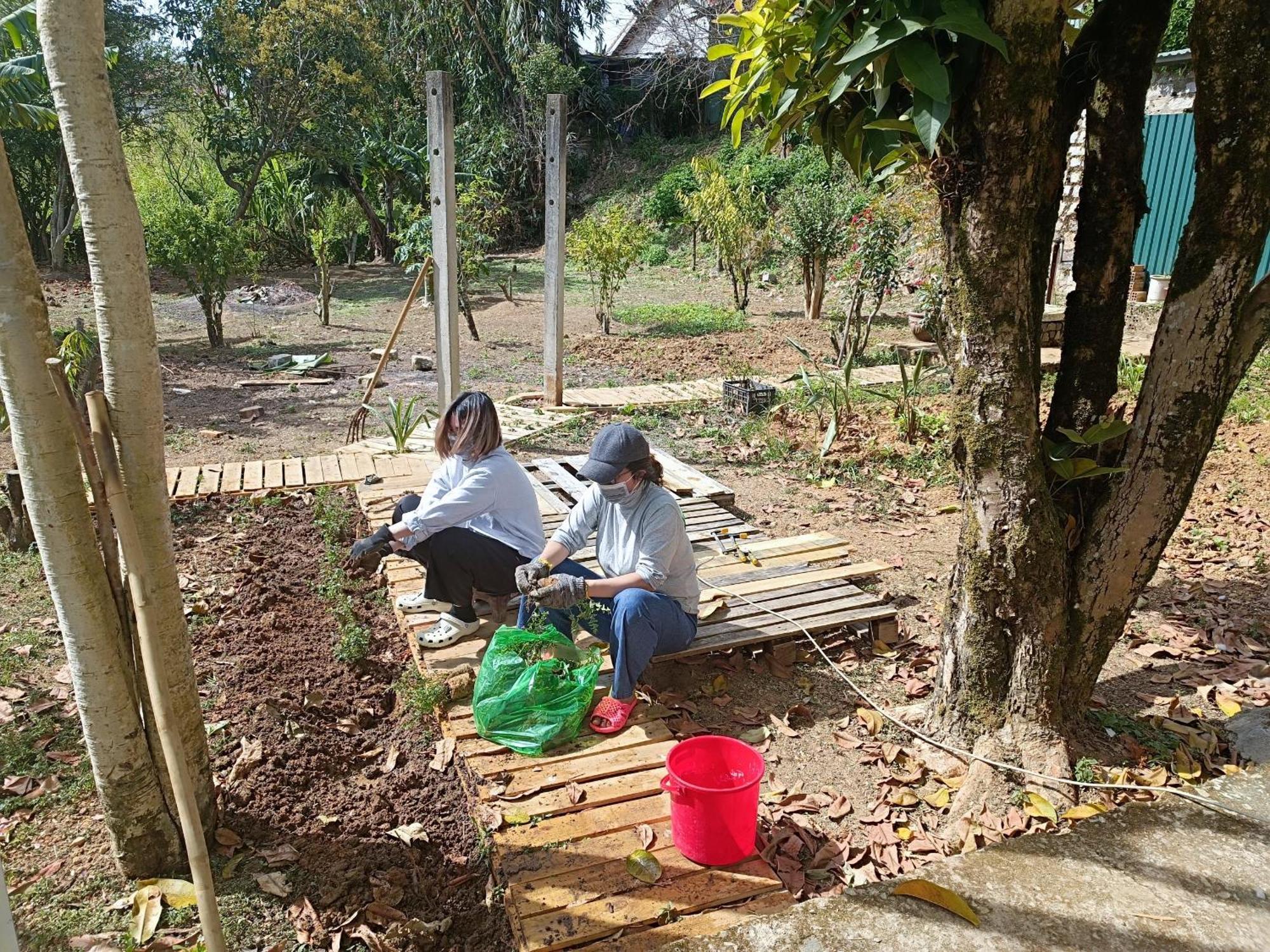 The Burrow Dalat Apartment Luaran gambar