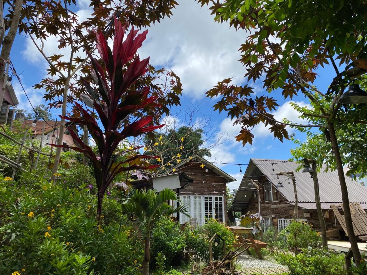 The Burrow Dalat Apartment Luaran gambar